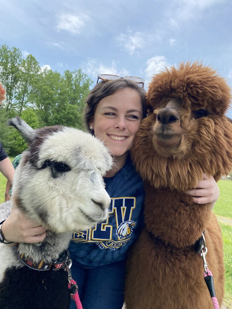 Kaitlin Wilson tweet media