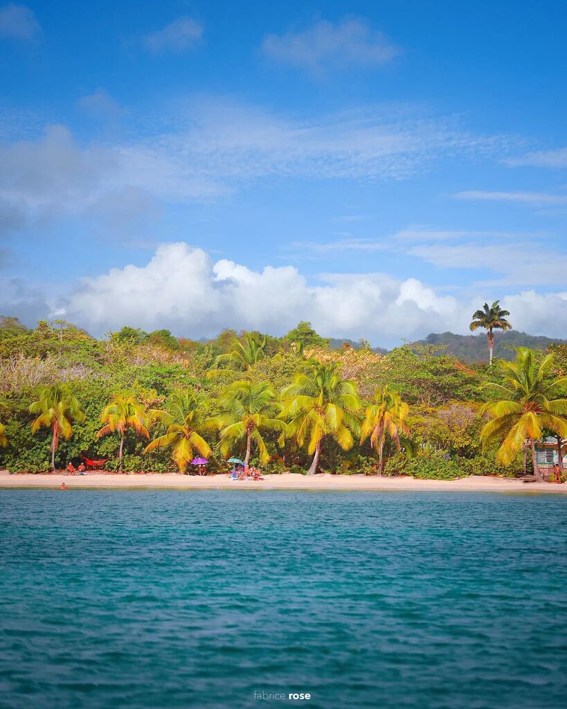 Allez, sors ton maillot de bain 👙 viens faire une baignade et siroter une boisson fraîche sous un cocotier ! 🌴

#pointemarin #sainteanne #martinique #martiniquetourisme #ig_martinique #clubmed #clubmedlesboucaniers #coconuttrees #beachesoftheworld #f… instagr.am/p/Cri_zbjshf_/