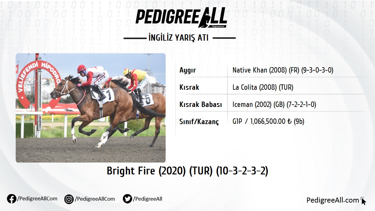 A3 Preveze Koşusu'nu BRIGHT FIRE by Native Khan kazandı.

pedigreeall.com/bright-fire-tu…