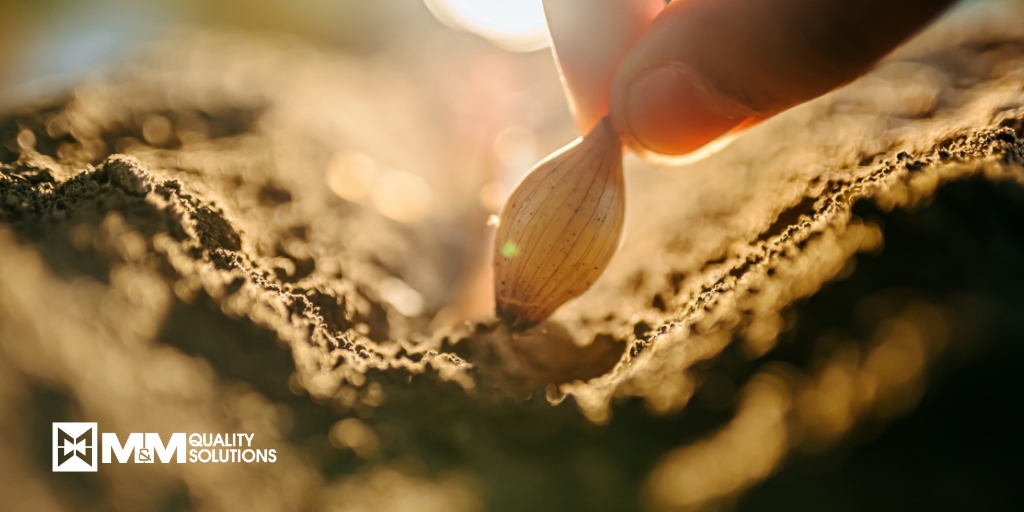 MMQualSolutions's tweet image. April is the perfect time to plant the seeds for a successful year ahead 🌱 

Let M&amp;amp;M Quality Solutions be your logistics partner and help you achieve your business goals.

Learn more about how we can help you this year! bit.ly/3FH2uhk