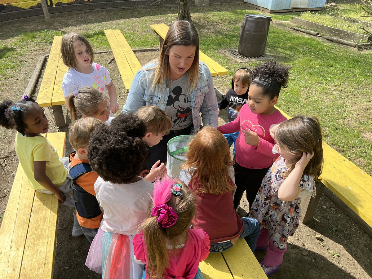 mrsrinehart1's tweet photo. Today was butterfly release day for the preschool @saylerparkjags in @GresockLauren’s class! These Ss watched their caterpillars turn into 🦋over the last 22 days and were so excited to set them free🌷@IamCPS 

#BeBetterJags #CPSandMe https://t.co/MtJfI7AiVj