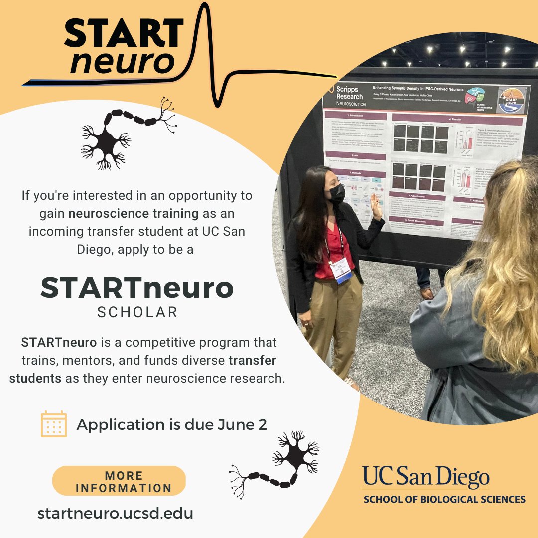 STARTneuro (@startneuro) on Twitter photo ✨ Incoming <a href="/UCSanDiego/">UC San Diego</a> transfer students! ✨
Are you interested in learning more about neuroscience & conducting your own research?
Apply to our program! More details & FAQs 👉 startneuro.ucsd.edu
#futuretriton <a href="/UCSDAdmissions/">UC San Diego Undergraduate Admissions</a> <a href="/ucsdbiosciences/">UCSD BioSciences</a> ✨ Incoming <a href="/UCSanDiego/">UC San Diego</a> transfer students! ✨
Are you interested in learning more about neuroscience & conducting your own research?
Apply to our program! More details & FAQs 👉 startneuro.ucsd.edu
#futuretriton <a href="/UCSDAdmissions/">UC San Diego Undergraduate Admissions</a> <a href="/ucsdbiosciences/">UCSD BioSciences</a>