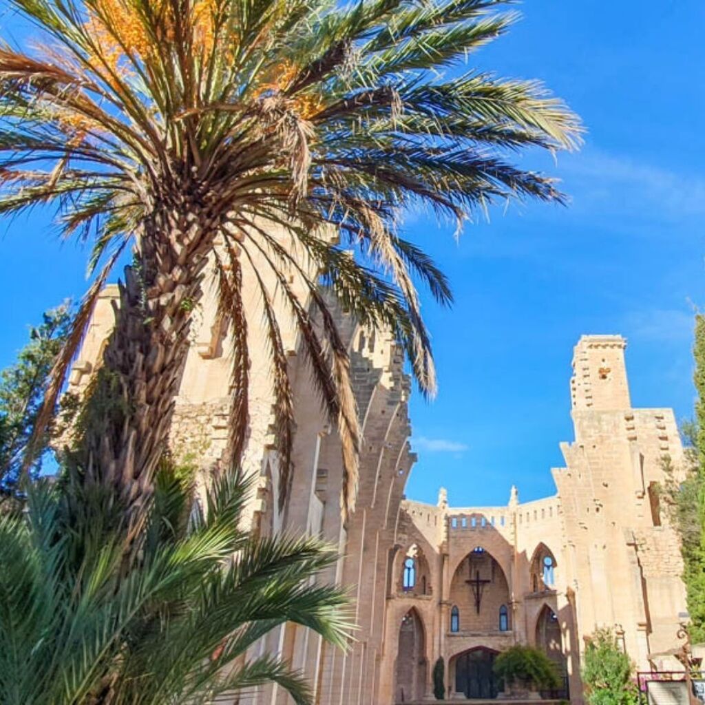 Son Servera

Die kleine Stadt in der Nähe von Cala Millor ist vor allem für die eindrucksvolle Kirche Esglesia Nova bekannt, die nie fertiggestellt wurde. Ihr erreicht sie mit dem Bus von Sa Coma und Cala Millor aus. Oder ihr fahrt auf dem Greenway von Artà mit dem Fahrrad.
…