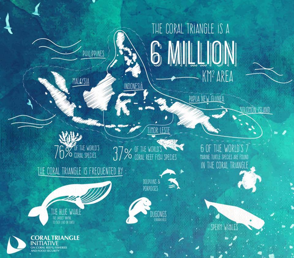UN Biodiversity tweet media