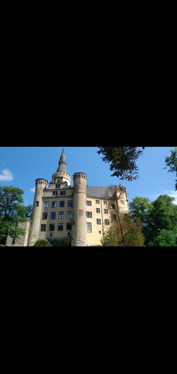 <a href="/MiguelCalabria3/">Miguel Calabria</a> <a href="/mado_mader/">Mado🌹</a> ✨️✨️🕍✨️✨️