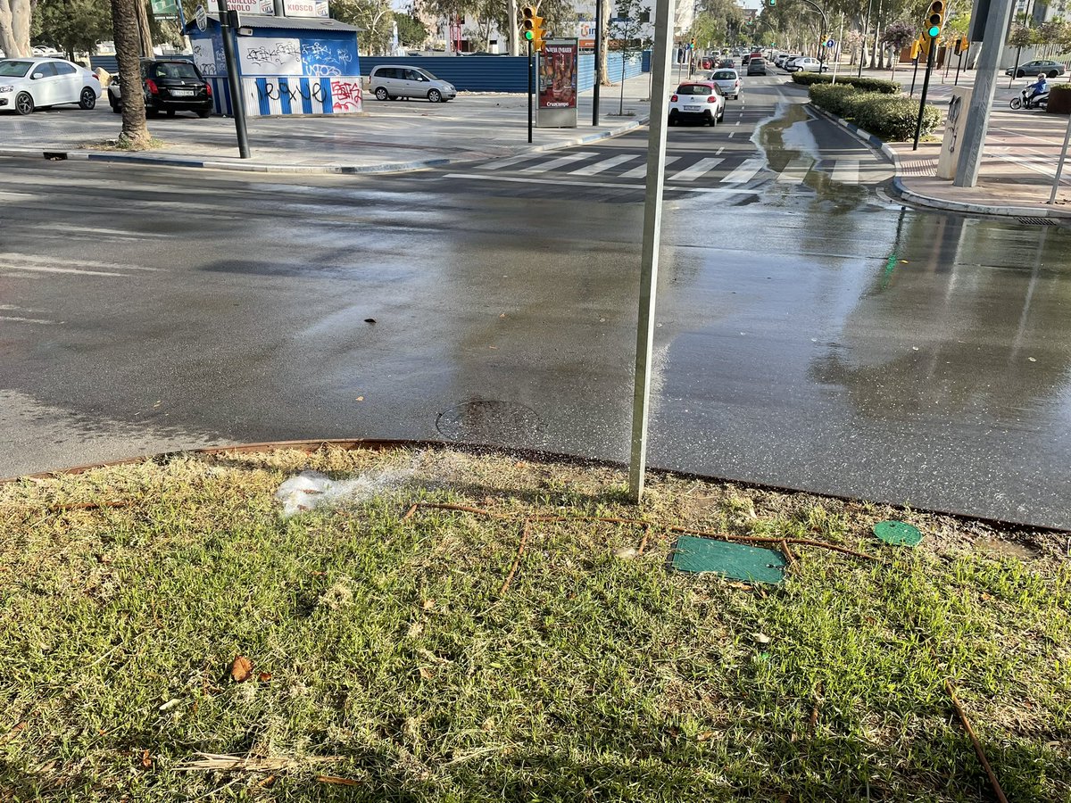 jmjaldo's tweet photo. @parquesyjardin no sé dónde poner una incidencia sobre una fuga de agua en el riego por goteo de la isleta frente al Estadio de La Rosaleda. Os dejo foto para que la localicéis. https://t.co/LZAbJt8Q1o