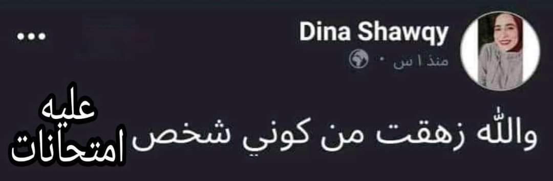 True Memes (@truememes_) on Twitter photo 