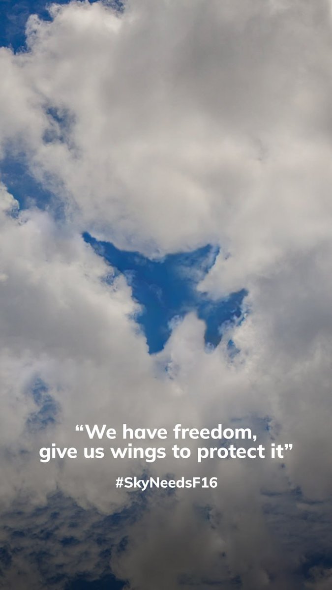 MatrixWolfGames's tweet photo. Russia can be stopped by the force of US arms and Ukrainian grit. Now is the time to act decisively and defeat evil. The Ukrainian #skyneedsF16 https://t.co/63dJzNpq3m