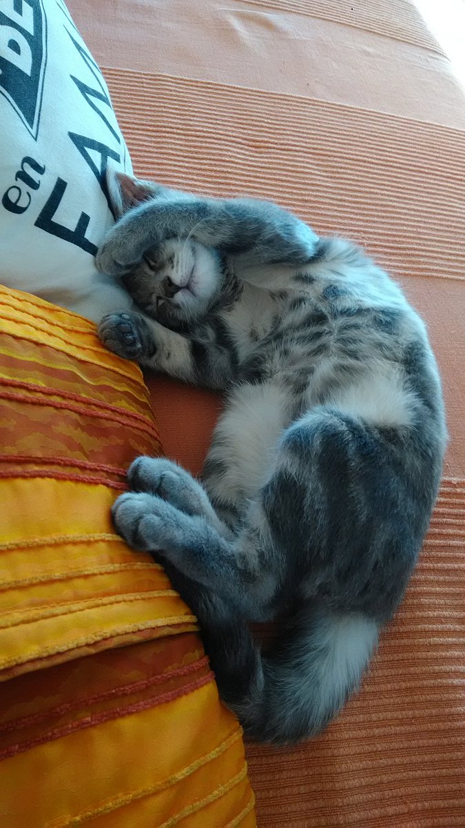 Manon PELLISSIER tweet media