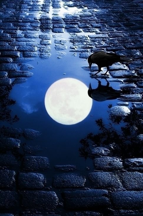 narcisi_rita's tweet photo. #UnaCittaPerCantare

 Di notte
 la città è 
 un paese civile.
Erri De Luca

#SalaLettura https://t.co/fgLkOtiI0f