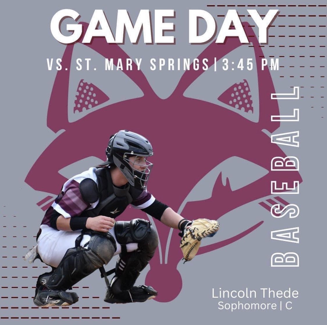 Fox Valley Lutheran Baseball tweet media