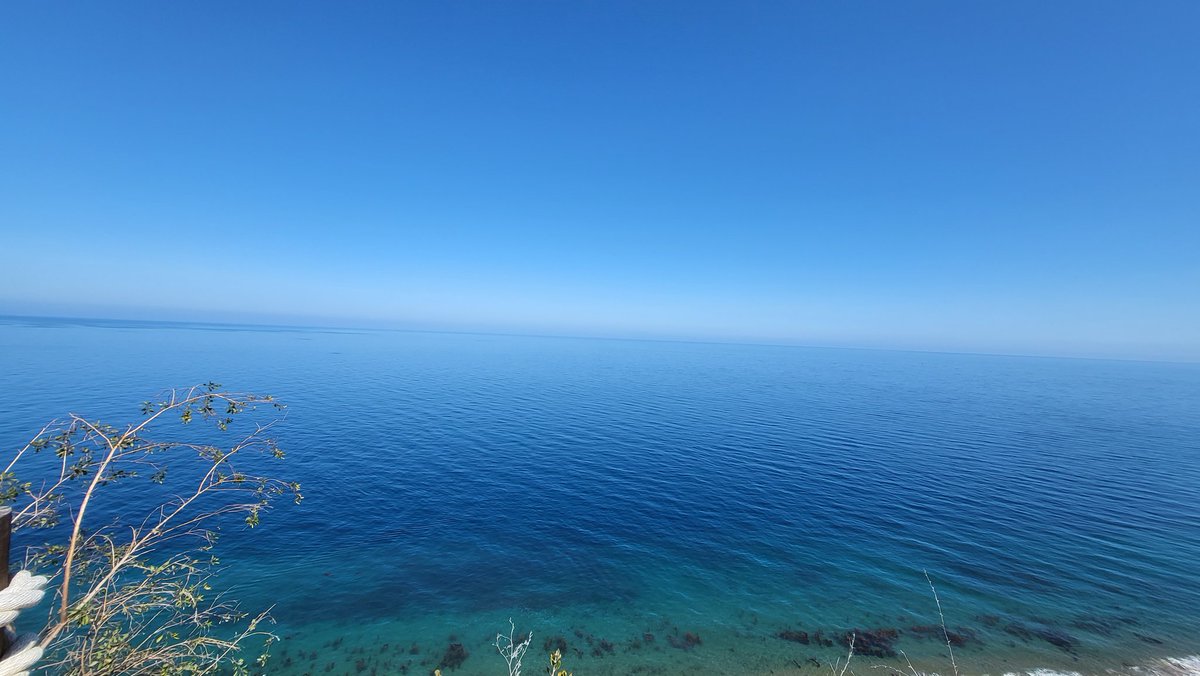 Black Bartimaeus tweet media