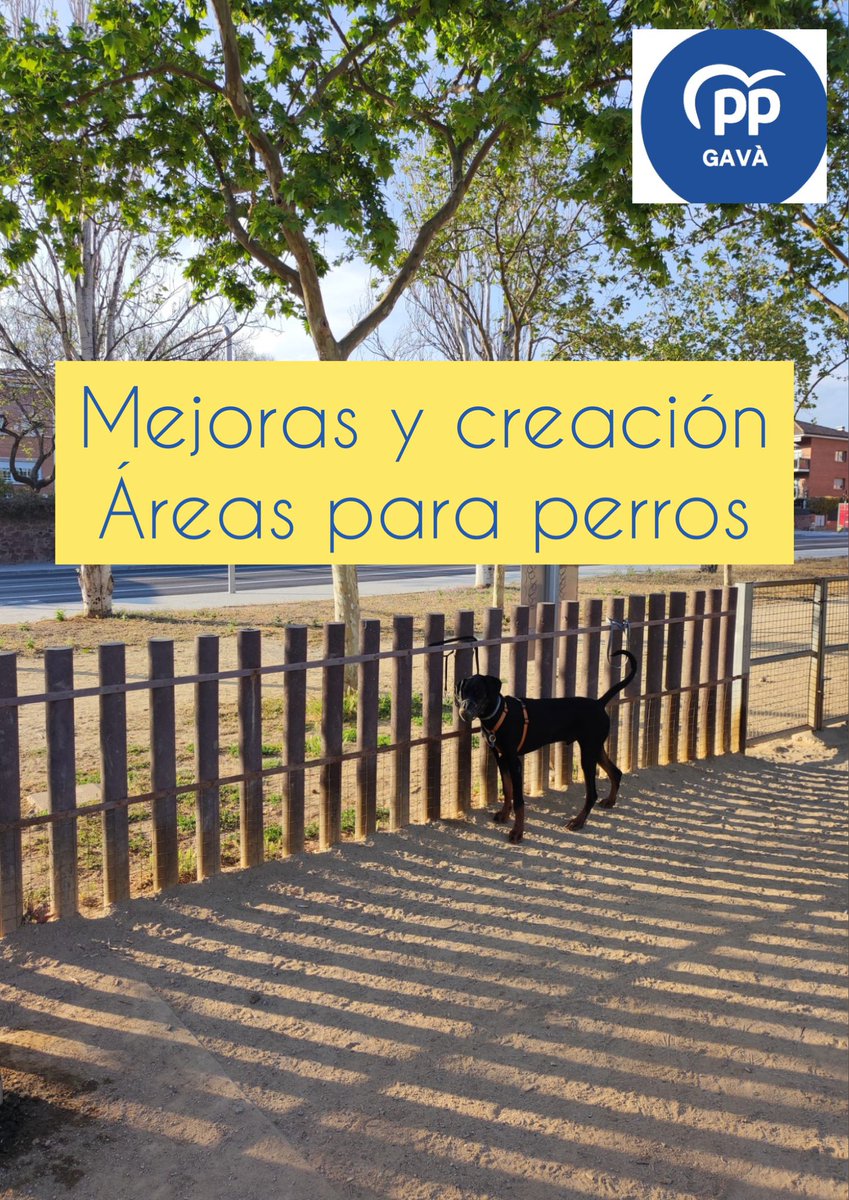 Nuestras últimas iniciativas del mandato en el Pleno de #Gavà: catálogo de árboles, mesa de turismo, base policial en Gavamar, espacios para animales, recuperación de patios abiertos para la conciliación. 🌳✈️👮🏼‍♀️🐶👫