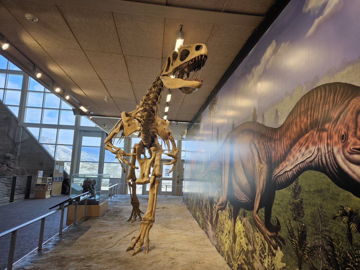 AnnemarieMatul1's tweet photo. As @TraceyMedeiros2 & I ease on thru traffic (Loveland to Denver) &say goodbye to CO & Utah (dinosaur monument), I continue to reflect on so much experienced at #AAS23. Awesome way to rotate out from 3yr term on Board. #impactedfamilyfriends https://t.co/R2V17rsMKC