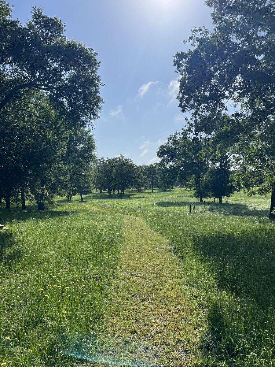 Men just want one thing and it’s beautiful