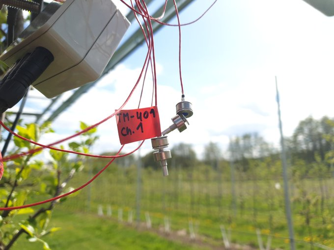 Prec_Hort's tweet photo. turgor sensors for measuring water status of fruit trees ready to be installed in @PrimaProgram project #IRRIWELL - this is for gaining seasonal time series, with first drought stress of the season expected in June (sensors will be installed on the leaves) https://t.co/lFjSa1z7gF