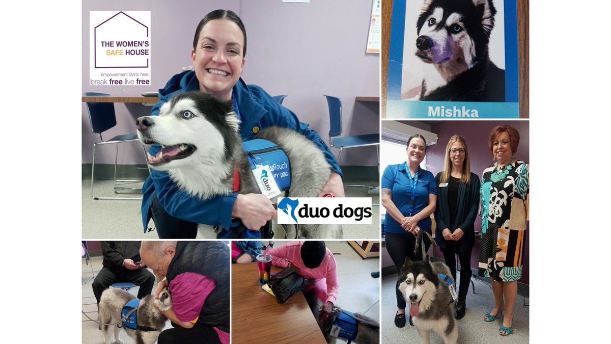 twshstl's tweet photo. EXCITING PROGRAM NEWS! @DuoDogsInc and their amazing, impactful Touch Therapy Program will be visiting the women and children we serve at TWISH once a month to "bring a sense of serenity and well-being and encourage activity and determination!" https://t.co/EKZOBc7IxU
