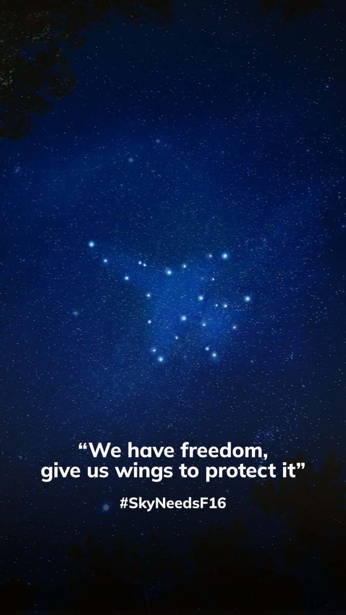 MatrixWolfGames's tweet photo. @MarkHamill @Acosta Dear @MarkHamill , we are so much grateful for all you do for #Ukraine Could you please lend another little bit of help when it's desperately needed, by tweeting this?

The sky's the limit for Ukraine's defense — but it doesn't have to be. #SkyNeedsF16 https://t.co/Qoeq7Jb80m