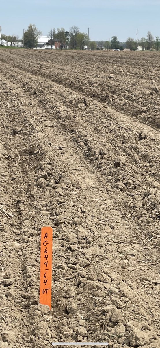 Another <a href="/AgriGold/">AgriGold</a> corn plot in the ground. A644-64VT2 will be a hybrid to follow this year. Strong agronomics combined with yield is hard to beat. #plant23