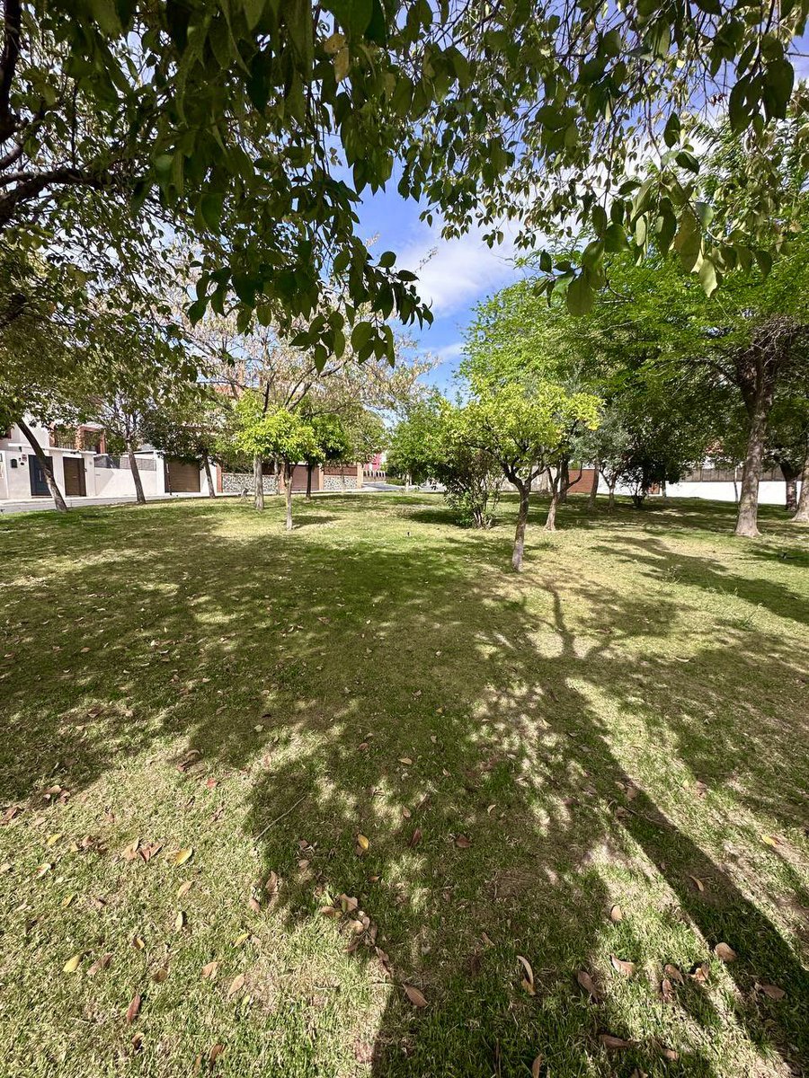 Asuarezm's tweet photo. -Jardinería y limpieza en diversas zonas del municipio.

-Desinfección y limpieza de trazado viario con @BarredoraJun.

@AyuntamientoJun https://t.co/kNUdGZ03Ct