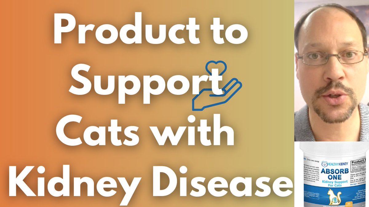 KidneyRestore's tweet image. NEW PRODUCT to Support Cats with Kidney Disease Absorb One 
ow.ly/KKoi50NY3ss