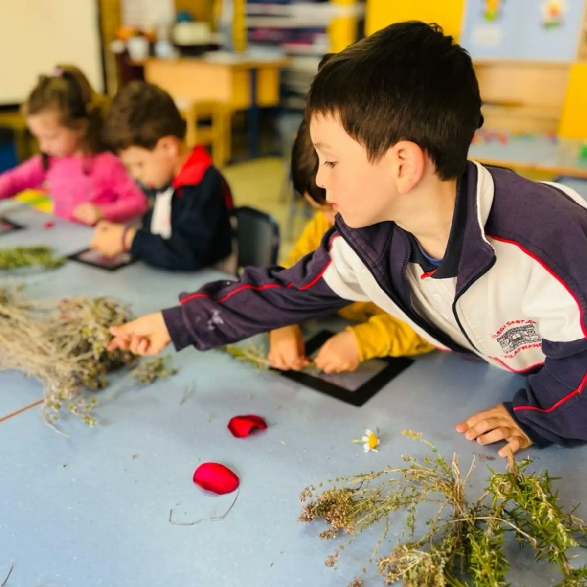 SantJosepVila's tweet image. Nous ambients a Infantil! 🆕😊

Amb l'arribada del 3r trimestre, els més petitons i les més petitones de l'escola experimenten amb les flors, fan art amb la tècnica del collage i un taller de contes i de lletres! 🎨🌼🔡📖

#SantJosepVila #Ambients