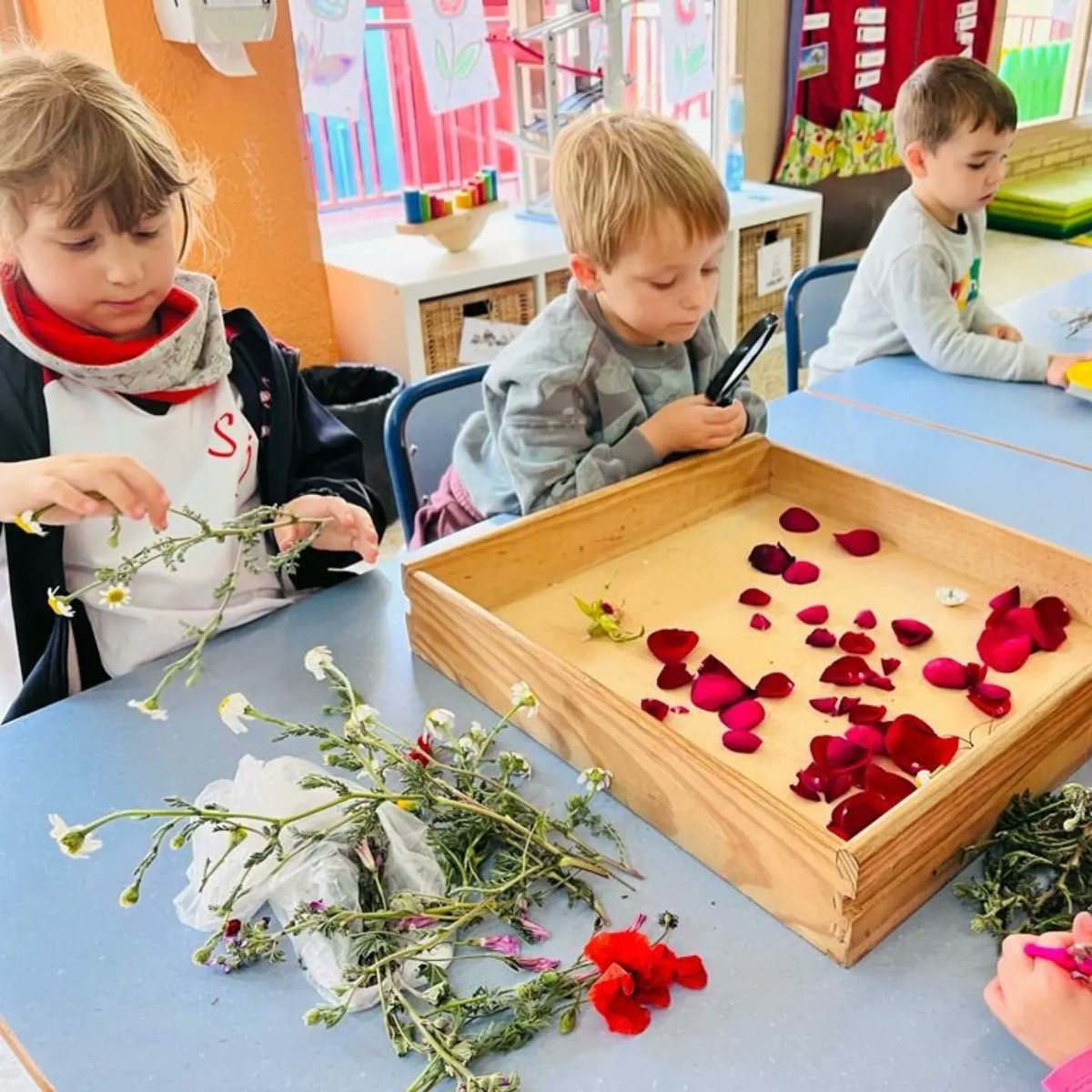 SantJosepVila's tweet image. Nous ambients a Infantil! 🆕😊

Amb l'arribada del 3r trimestre, els més petitons i les més petitones de l'escola experimenten amb les flors, fan art amb la tècnica del collage i un taller de contes i de lletres! 🎨🌼🔡📖

#SantJosepVila #Ambients