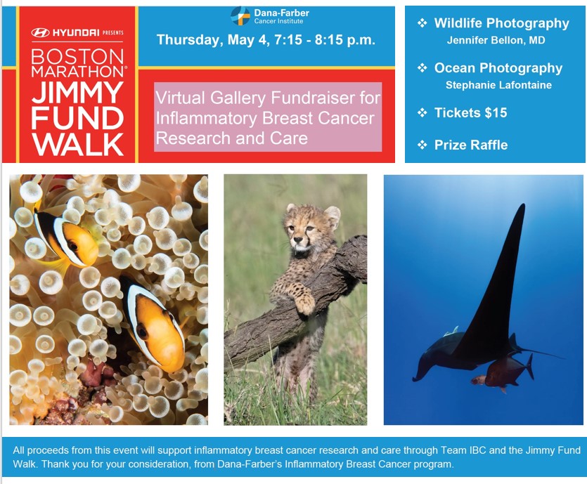 Join us for a Virtual Gallery featuring wildlife & ocean photography by #InflammatoryBreastCancer expert Dr. Jennifer Bellon & #IBC patient Stephanie Lafontaine, both avid photographers. They will share travel stories & experiences capturing these moments! eventbrite.com/e/virtual-gall…