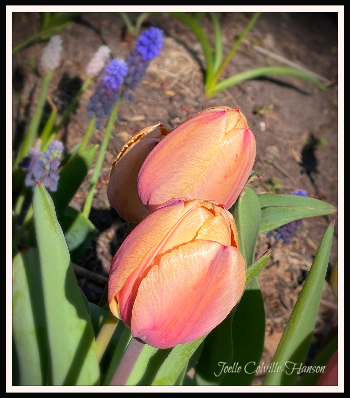 conta.cc/3LuhR00
conta.cc/3AAdBpn