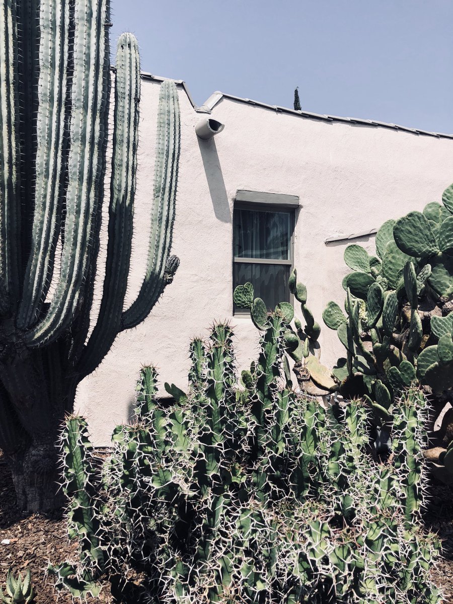 PinkTaxiRunner's tweet image. America too hot and dry really for European civilization to take deep root. #RabbitatRest #JohnUpdike #LosAngeles