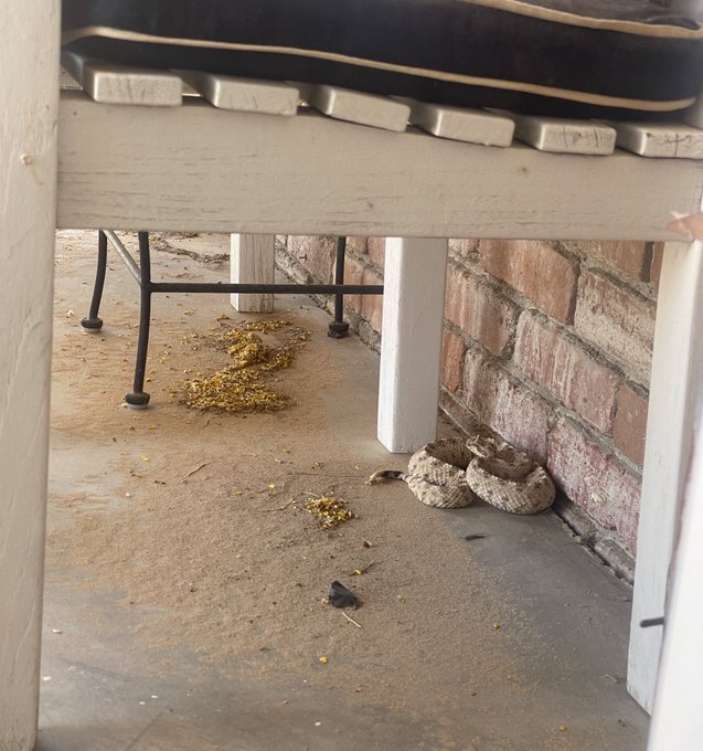 He came to say happy birthday 0.0&rsquo; https://t.co/RFzxPrV6WL