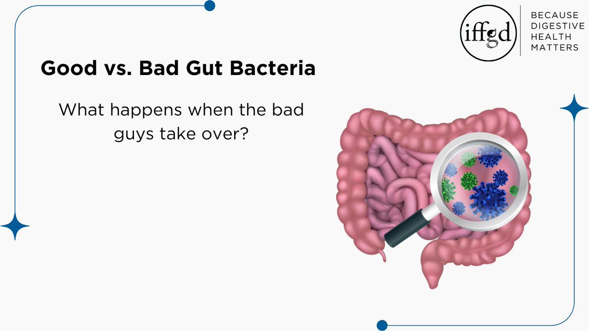 IFFGD's tweet photo. What happens to your gut when bad bacteria replaces the good? Watch this short presentation by @dbrennerGIMD to find out.
https://t.co/ANmZ1D3Acf
#DigestiveHealthMatters #IFFGD #GITwitter https://t.co/4wdEIzC60W