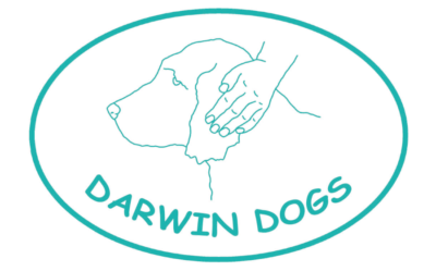 Charity_ADUK's tweet photo. NEW ADUK MEMBER!  Welcome to the newly
@adiintl accredited assistance dog organisation
Darwin Dogs. Darwin Dogs works in partnership with autistic adults and adults who have a diagnosed mental health condition to train their own pet dogs as assistance dogs. #AssistanceDogsUK https://t.co/GbxPO3GJsV