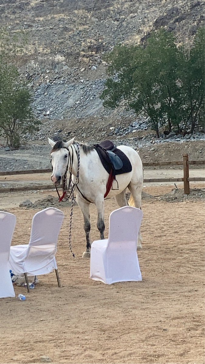 #أجمل_صورة 
 #مكة_تعايدنا
<a href="/jabalheraa/">حيّ حراء الثقافيّ</a> 
<a href="/RCMC_KSA/">الهيئة الملكية لمدينة مكة المكرمة والمشاعر المقدسة</a>