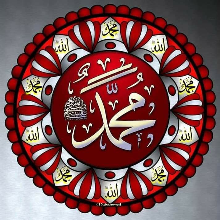 🌿إبن غرباوى 🌿 tweet media