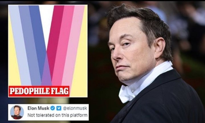 PopuliNon's tweet image. 🚨 Elon Musk ha sospeso l'utente #Twitter che ha creato la bandiera pedofila.👿