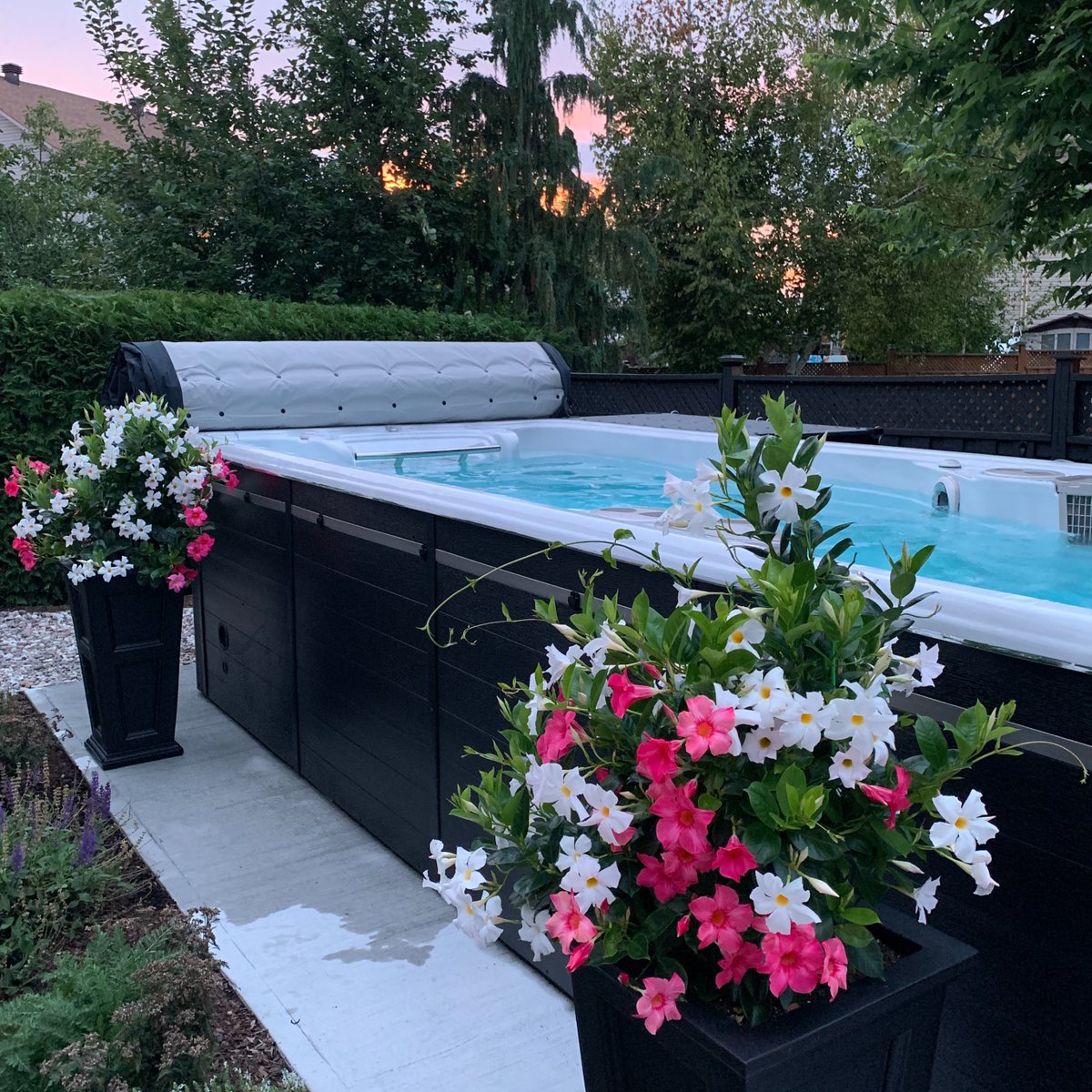 RainforestOL's tweet photo. Make a splash this season with a swim spa from Rainforest Outdoor Living - the perfect addition to any backyard oasis.

We also carry a range of BBQs, outdoor heaters, patio furniture + more that can make the most of your outdoor space this spring! 🌸

🌐 https://t.co/uDoQUfNHvv https://t.co/FrhHqXzU9F