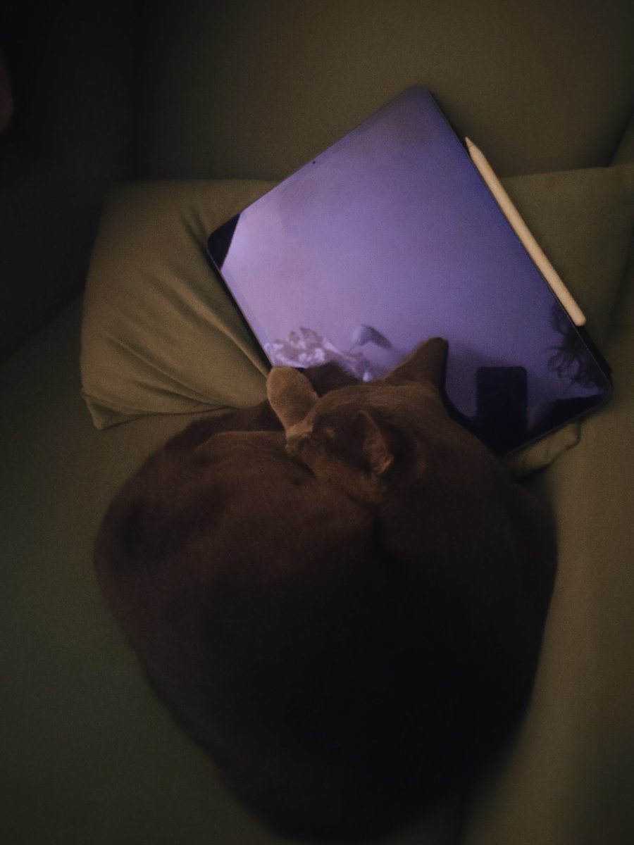 Guardian of the Artwork 🌚