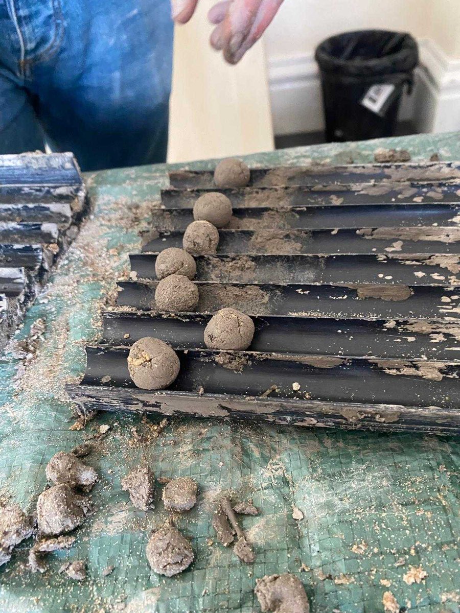 Project Seagrass (@projectseagrass) on Twitter photo We have just finished another round of planting seagrass across Pen Llŷn, this time introducing a new method to trial mixing seagrass seeds into balls of clay 🌱
With huge thanks to volunteers and <a href="/North_Wales_WT/">North Wales Wildlife Trust</a> for helping us to prep and plant the seeds #TeamSeagrass🌱 We have just finished another round of planting seagrass across Pen Llŷn, this time introducing a new method to trial mixing seagrass seeds into balls of clay 🌱
With huge thanks to volunteers and <a href="/North_Wales_WT/">North Wales Wildlife Trust</a> for helping us to prep and plant the seeds #TeamSeagrass🌱