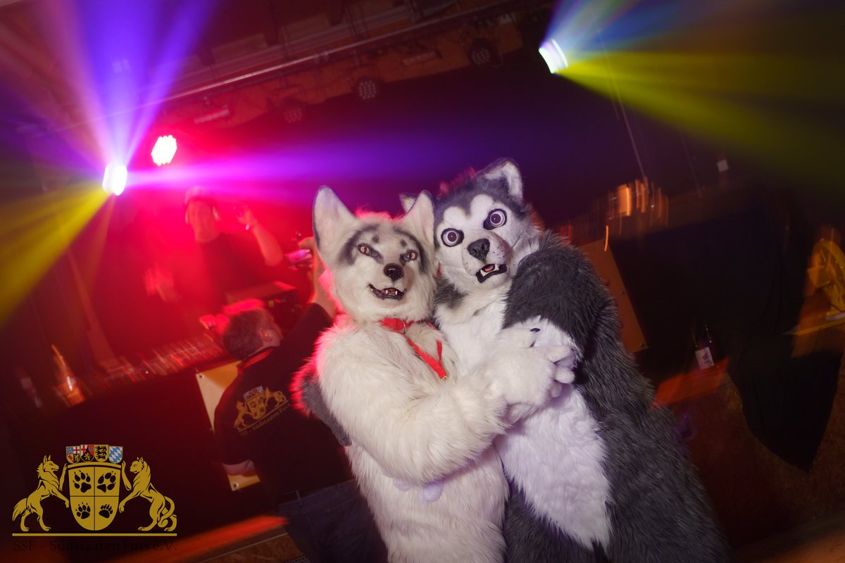 skipp_wolf's tweet photo. Happy #FursuitFriday 

📷 @LunosWolf
🦊 @Kitavos_DE ♥️
🗓️  01.04.2023
🏞️ SSFD Vol. 6 #SSFD6
🏙️ Zinsholz Ostfildern 🇩🇪 https://t.co/liTwDAb3ng
