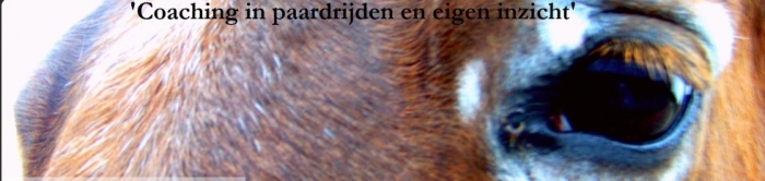 Coaching met paarden paardenhandelaren.com/paardenhandel/… #paarden