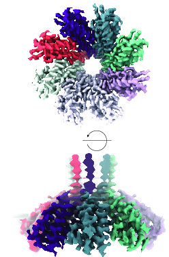 URochester SMD tweet media