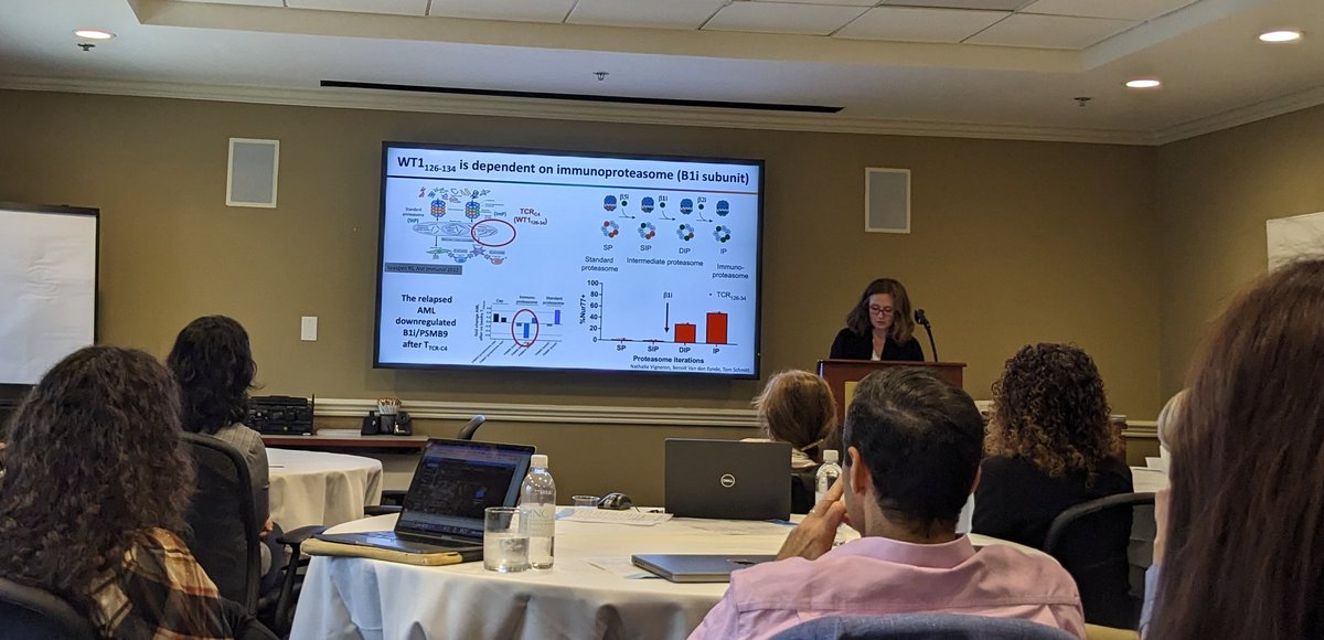 Personalized Immunotherapy Research Lab (@pirl_unc) on Twitter photo Really fascinating talk by Aude Chapuis showing escape from WT1 specific immune pressure by AML through switching proteasome sub-unit expression Really fascinating talk by Aude Chapuis showing escape from WT1 specific immune pressure by AML through switching proteasome sub-unit expression