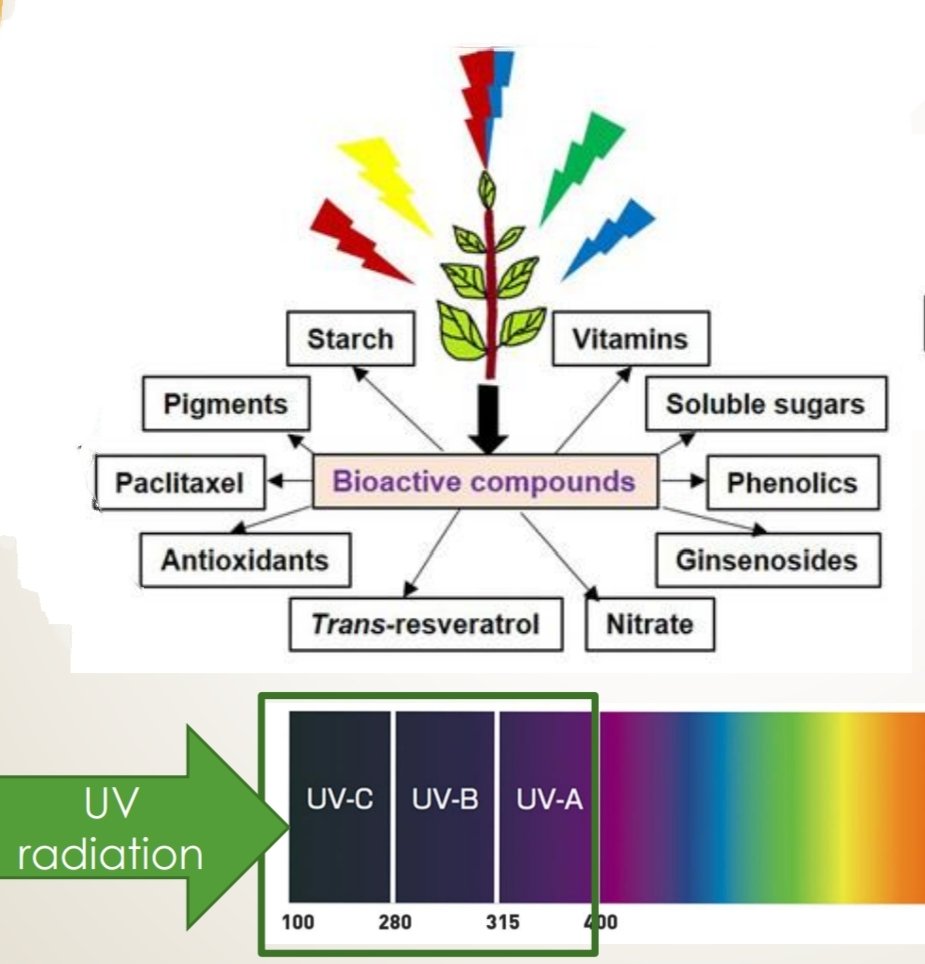 Antonella Gori (@anto_gori) on Twitter photo 📢📢JOB ADVERTISING🧪🔬 CNR-IFAC is recruiting a one-year fellowship position in Florence!!
Focus: plant #photobiology, #plant #biochemistry, plant secondary #metabolites and stress #physiology!
E mail to g.agati@ifac.cnr.it for further information
please RT 📢📢JOB ADVERTISING🧪🔬 CNR-IFAC is recruiting a one-year fellowship position in Florence!!
Focus: plant #photobiology, #plant #biochemistry, plant secondary #metabolites and stress #physiology!
E mail to g.agati@ifac.cnr.it for further information
please RT