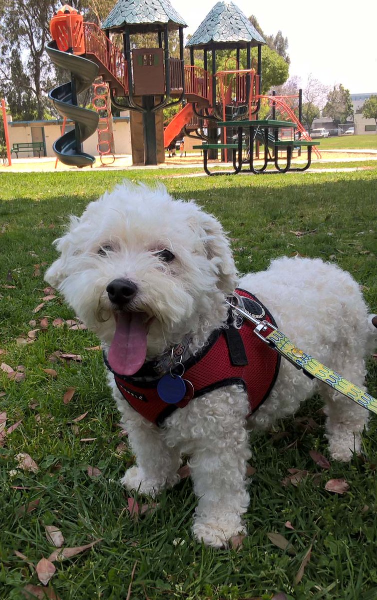 bella barr🌈 tweet media