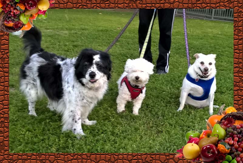 bella barr🌈 tweet media