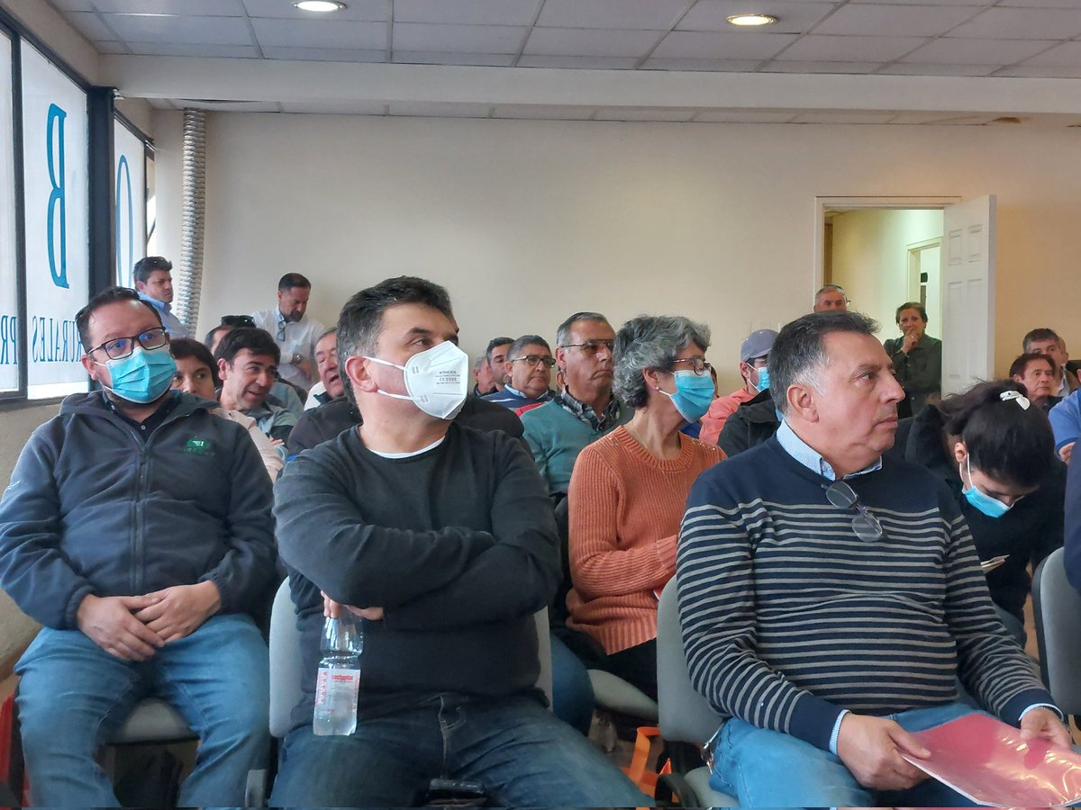 MTTMaule's tweet photo. #AgendaMTT Hoy la @MTTMaule junto al equipo de la @DTPRegional difundieron  el programa Renueva Tu Micro a los empresarios de la Provincia #Curico. Iniciativa apoyada por el @consejoregmaule 
#RenuevaTuMicro https://t.co/Rgzef15KMi