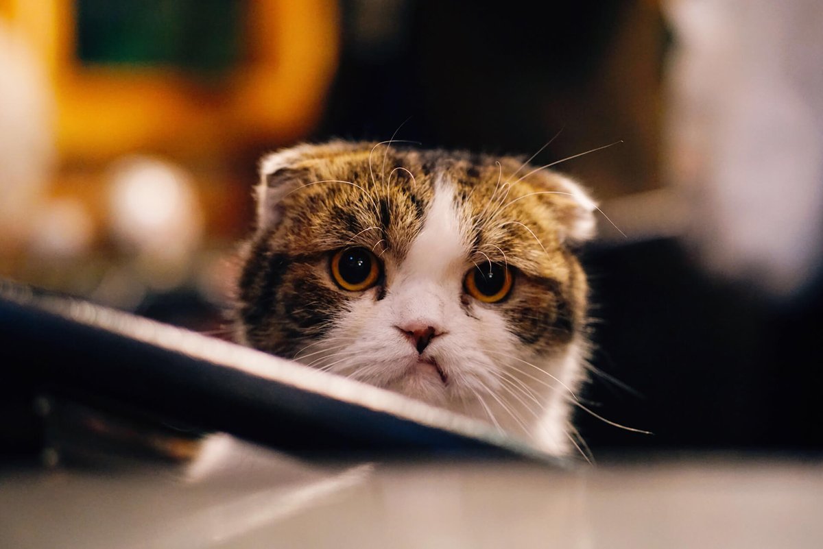 TrellisWork_'s tweet image. Check out our latest blog post on the 10 mistakes managers make, and learn how to avoid them to inspire your team to be their best.  💪 buff.ly/40Ov1JA 

#ManagementMistakes #ServantLeadership #Teamwork #Management