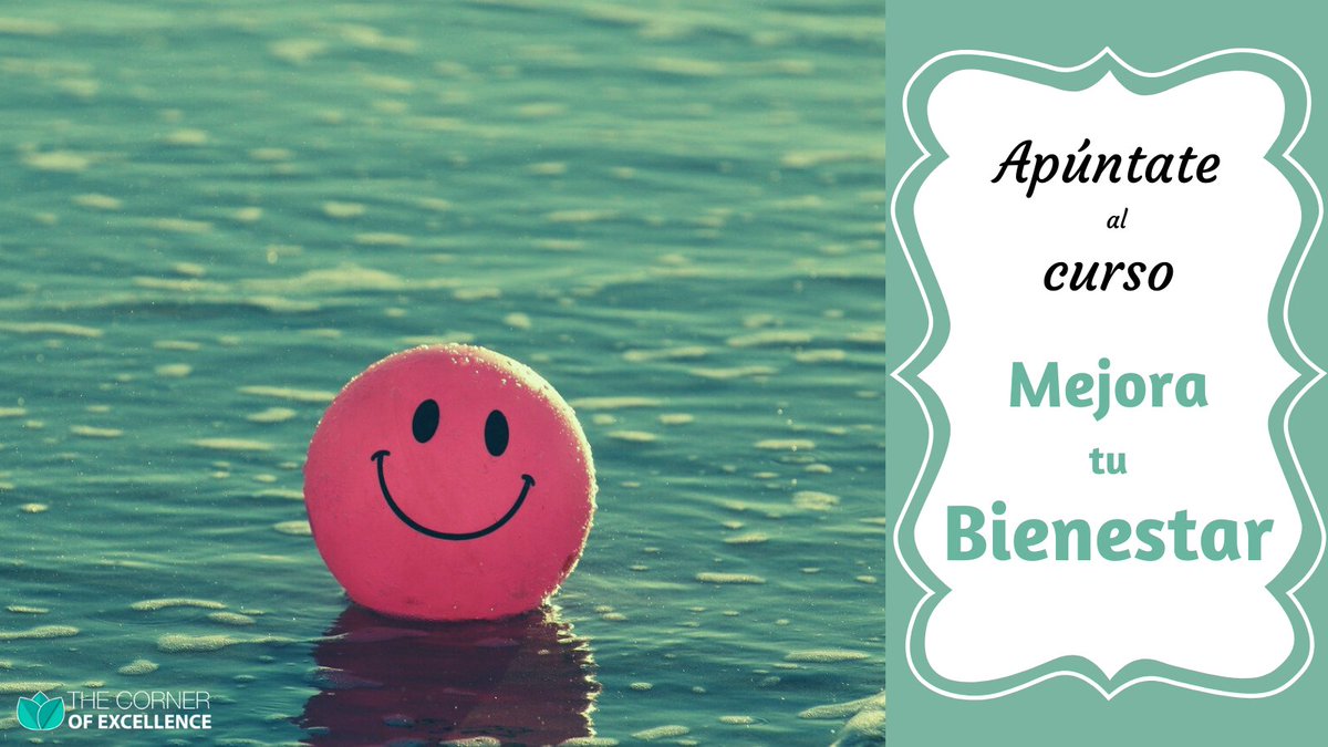 The Corner of Excellence tweet media