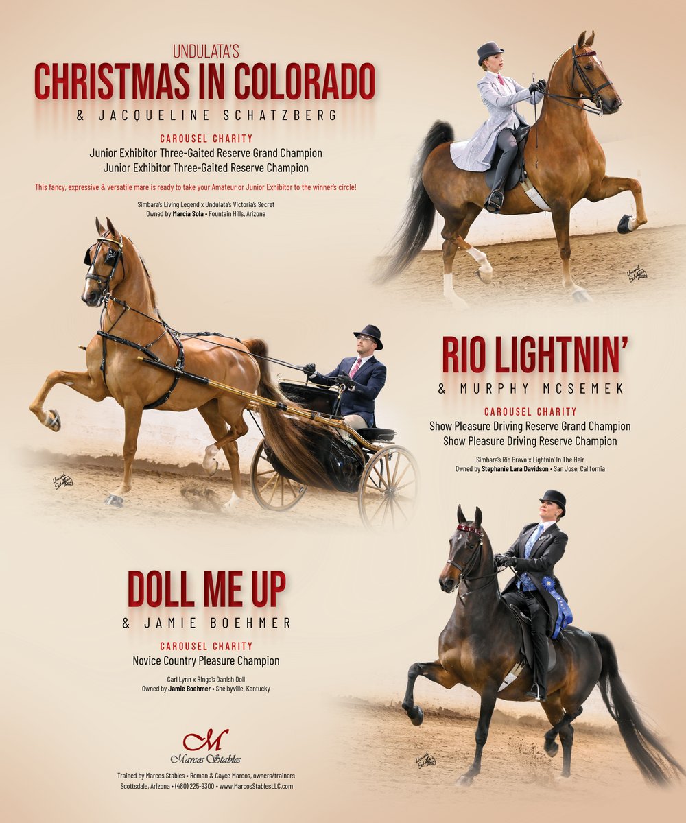 National Horseman tweet media